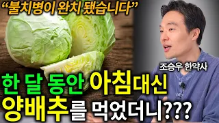 "드셔보시면 답이 나옵니다"  당신이 양배추를 먹어야 하는 이유