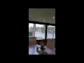 Zip Up Ceiling Install