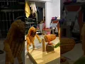 Download Lagu So beautiful 🥰 #funny #trending #viral  #youtubeshorts #shorts