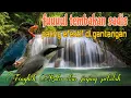 Download Lagu Fuul tembakan paling efektif 🔥 Tengkek Buto dan jinjing petulak 