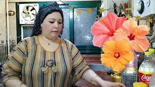 علشان ربنا بيحبنا دايما مفرح قلبنا وطول ماربنا مقوينا مش هنفرح حد فينا 