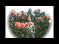 chad valley - shell suite