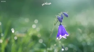 إنما المؤمنون الذين إذا ذكر الله وجلت قلوبهم الشيخ محمد صديق المنشاوي 