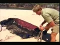Crocodile Hunter - Super Croc Part