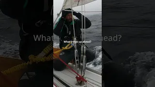 What’s that up ahead? #shorts #wearenotalone