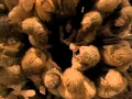 Download Lagu Blind Melon - I Wonder (Official Music Video)