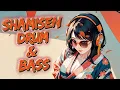 Download Lagu 🎧【和風BGM】Ancient Shamisen x Drum and Bass | A Mind-Blowing Musical Fusion!\