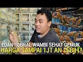 Download Lagu REZEKI ! PASAR BURUNG PRAMUKA HARI INI OBRAL WAMBI SAMPAI 1JT AN LEBIH MURAH HASIL TUKAR TAMBAH 
