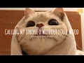 Download Lagu Calling my iphone x Without you x Mood (Vietsub +Lyric) | Hot Tik Tok