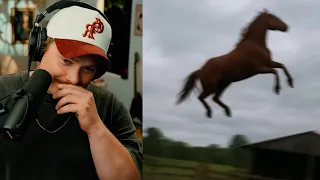 I Watched Brainrot Memes