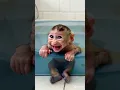 Download Lagu Baby Monkey’s First Bath Turns Into a Splash Party!