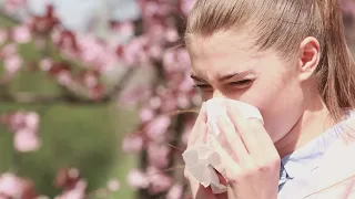 Dallas among cities with worst allergies new report shows Here s what to know