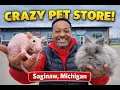 Best Exotic Pet Store in Saginaw Michigan Custom Creatures
