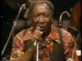 Muddy Waters - Got My Mojo Working - ChicagoFest 1981