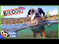 Download Lagu Chagrijnige hond heeft onze sokken en handdoeken meegenomen... maar waarom??? | Dodo Kids | Bad Boys \u0026 Girls
