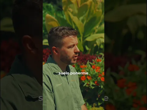 Verde - Evan Craft y Andy Rivero