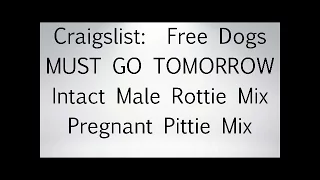 Craigslist Free Dog Rescue