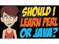 Should I Learn Perl or Java