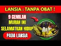 LANSIA WAJIB TAHU! 9 Camilan Sehat yang Bisa Perpanjang Umur Tanpa Obat Mahal.