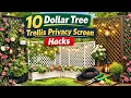 10 Dollar Tree Trellis Hacks to Build a Stunning Backyard Privacy Fence