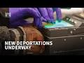 Afternoon headlines Deportations to third countries ramp up again and EPA relaxes gas rules