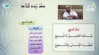 شرح نظم زبدة البلاغة للشيخ محمد محمود الشنقيطي علم البديع 