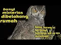 Download Lagu SUARA BURUNG HANTU DIMALAM HARI,, BIKIN MERINDING