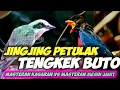 Download Lagu MASTERAN SEDAPP!!! JINGJING PETULAK VS TENGKEK BUTO || MASTERAN PETULAK JINGJING SAMBUNG TENGKEKBUTO