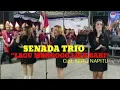 Download Lagu SENADA TRIO Cover \
