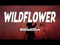 Download Lagu Billie Eilish - WILDFLOWER (Lyrics)