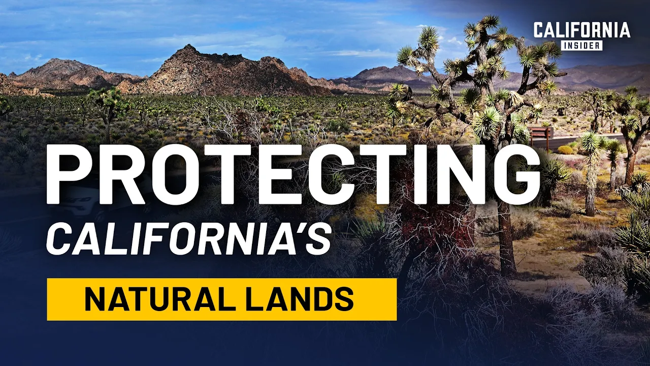 California's Land, Water, and Fire | What's Really Driving the Decisions