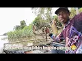 Download Lagu Capit kuning bikin Kepala pening || mancing udang galah