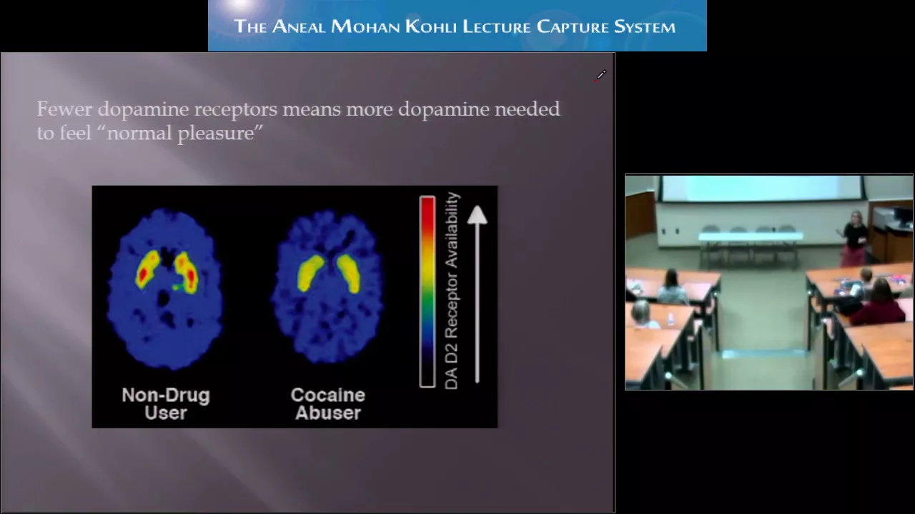 The Neurobiology of Addiction Addiction 101 in Olson