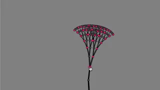 Fractals 3 Growing Fractal Tree