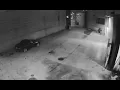 shows inmate escape from Hamilton County Justice Center