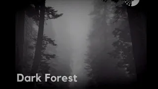 dark forest warren deep thexy lx jay afro