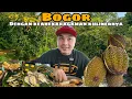 Download Lagu Kuliner Bogor Nggak Pernah Ada Habisnya || Street Food Bogor || Kebun Raya Bogor
