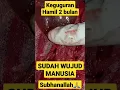 Download Lagu keguguran usia kandungan 2 bulan
