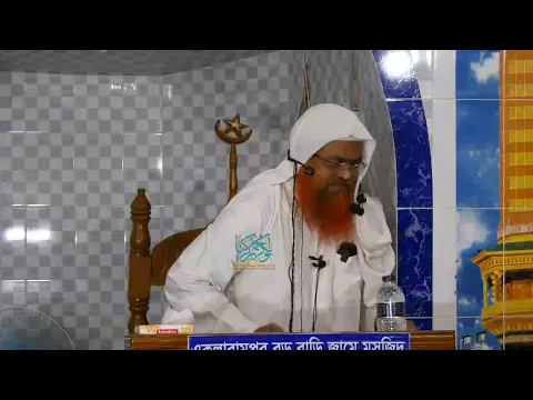LIVE, ইসলামী হালাকা