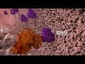 Mutated KRAS Promotes Cancer Growth / Cell, April 14, 2016 (Vol. 165, Issue 4)