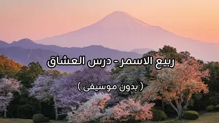 ربيع الاسمر درس العشاق بدون موسيقى 