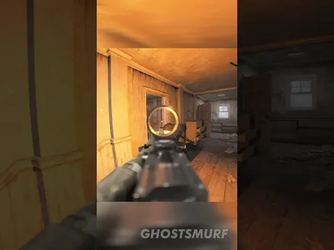This Looks Like Bodycam Footage
