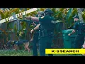 THE CITY Miami Police Patrol - K-9 SEARCH FOR BURGLARY SUSPECT Ep 6