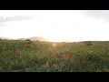 music by Official Sound Studio - Nirvana
