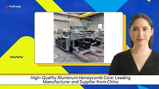 High Quality Aluminum Honeycomb Core Leading Manufacturer And Supplier From China 