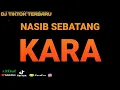 DJ ARFA ARNOLD NASIB SEBATANG KARA