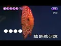 割愛~萬芳~女原Ab調~伴奏~導唱丙