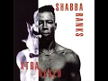 Bedroom Bully - Shabba Ranks