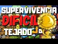 Plants VS Zombies DS - Supervivencia - Tejado Difícil