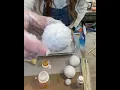 DIY Realistic Snowball Tree Picks